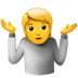 :person_shrugging: :person_shrugging: