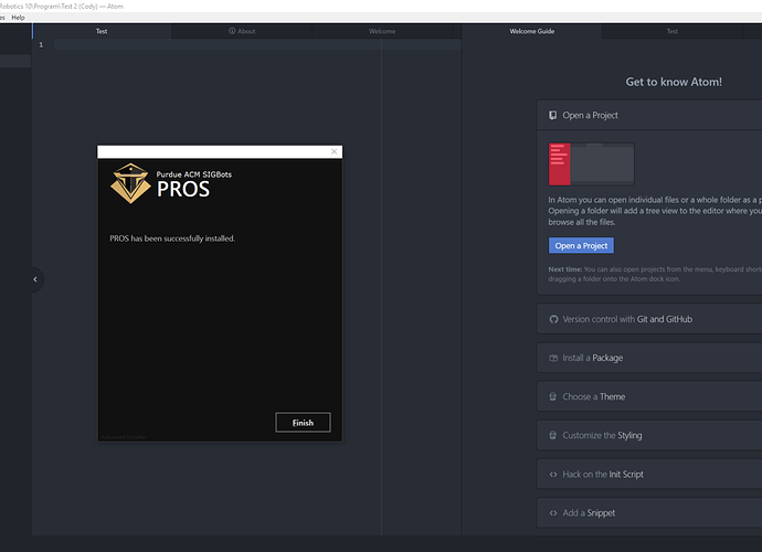 Pros Installation.png