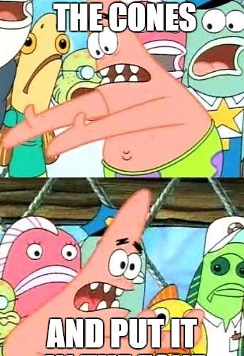 1ojpsr.jpg