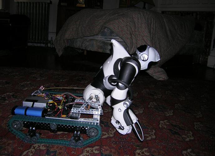Centaurox Bow 02.jpg