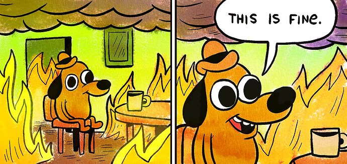 Why This Is Fine Is the Meme This Year Deserves - The New York Times