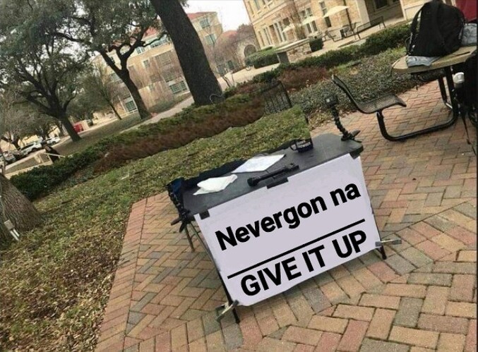 Never gonna give it up