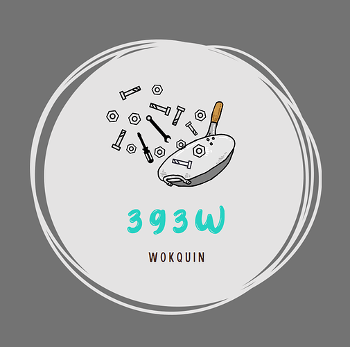 393w Wokquin Logo 2022-23