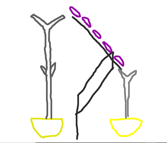 tray lift concept