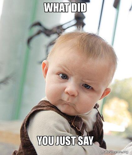 What did YOU JUST SAY - Skeptical Baby | Make a Meme