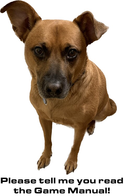 How many blocks are on the skills field for push back? - VEX V5 General ...