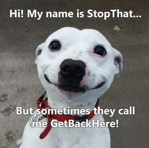 HiMyNameIs