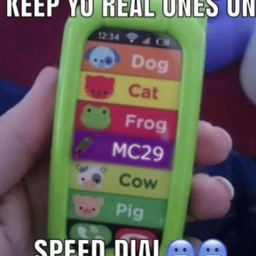 mc29_speed_dial