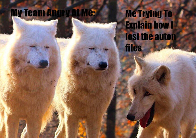 Wolf