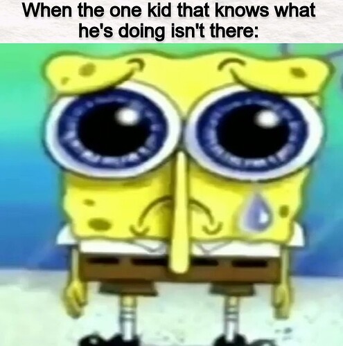 spinch bob (1) (1)