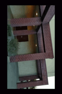 image.gif