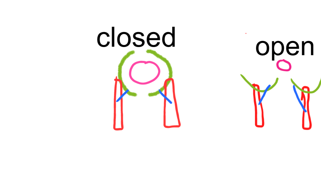 Drawing.png