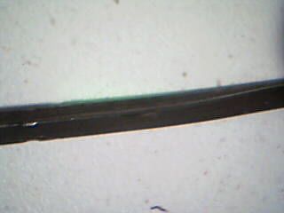 Picture 5.jpg