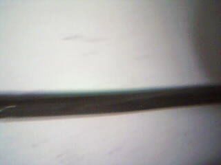 Picture 8.jpg