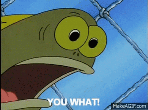spongebob-you-what