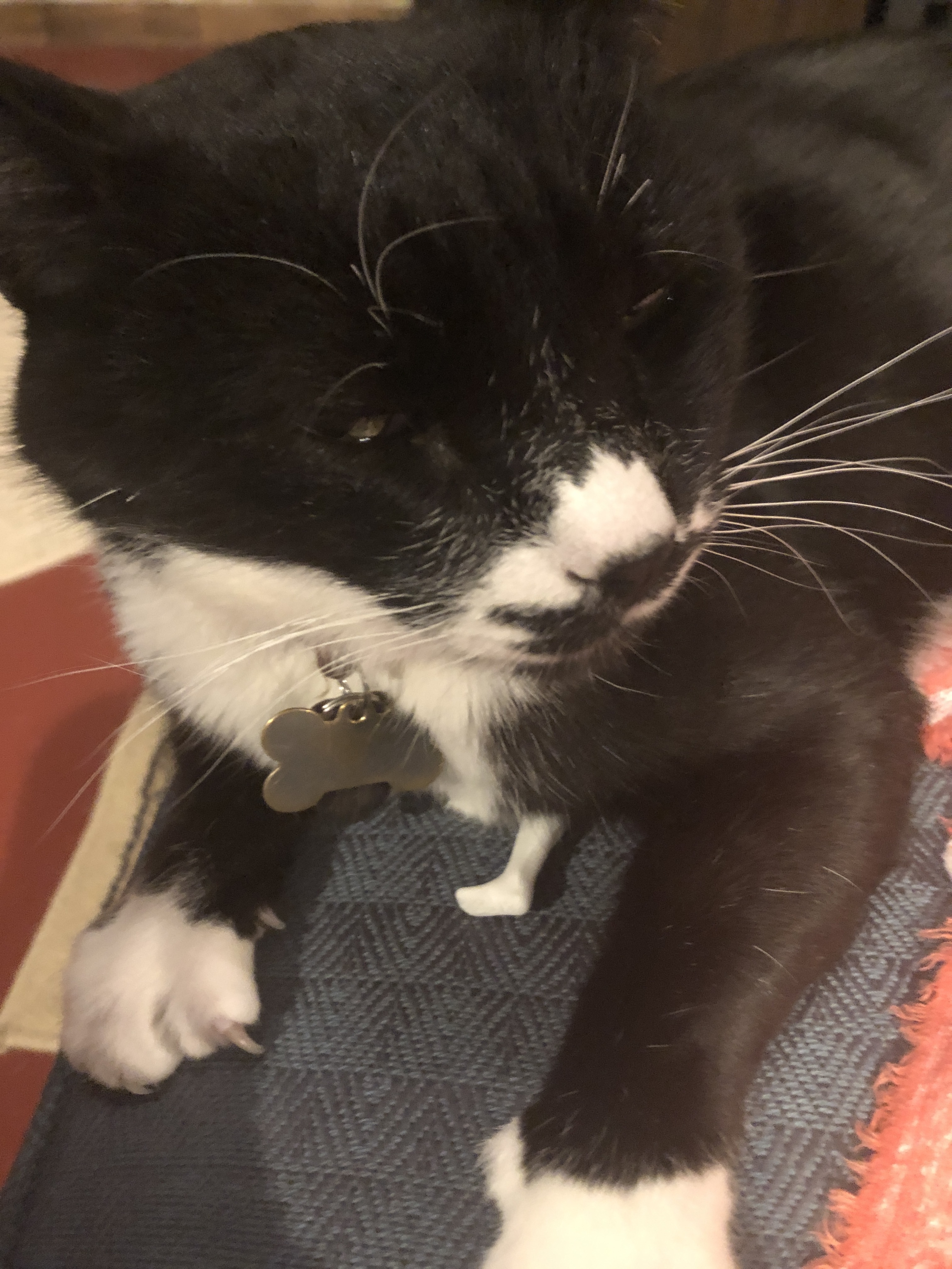 Cursed Images 4096 By 15545G SC Chit Chat Rumor Mill VEX Forum cursed-images-4096-by-15545g-sc-chit-chat-rumor-mill-vex-forum