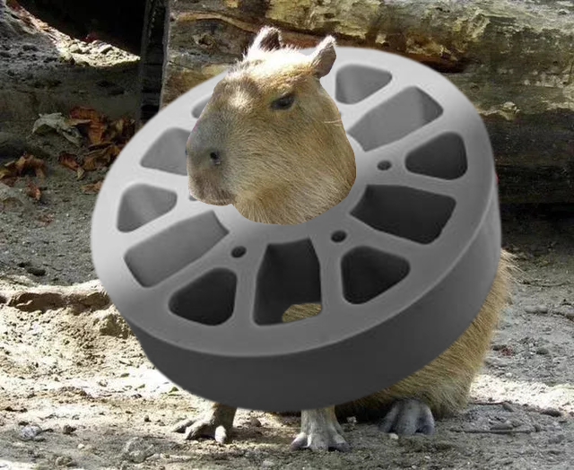 capybara_flex_wheel
