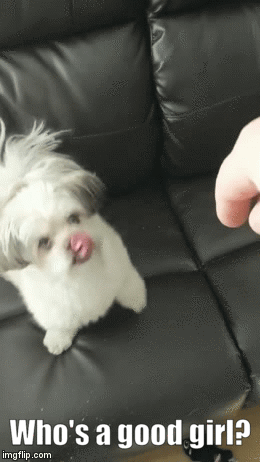 who is a good girl