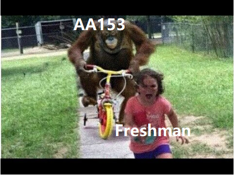 yeslol