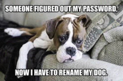 I have to rename my dog