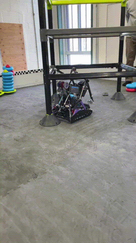 Video_20250426_122500_042