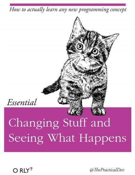 kittens guide to playful programming