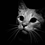 27508_e_NSHS