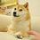Doge18