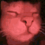 feed_me_robot_metas