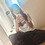 haonp