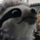 Jacob_8757